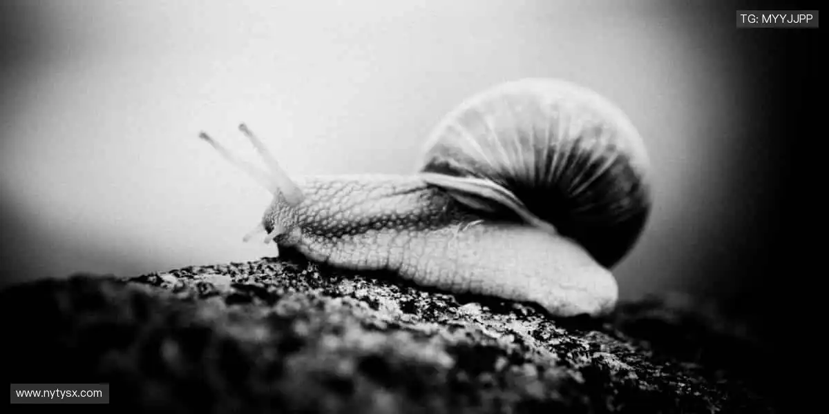 📺高清直播,一键解锁赛场心跳!💥👥